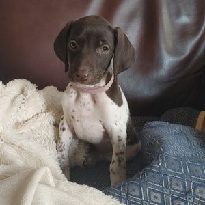 Meet your Posher, Judy